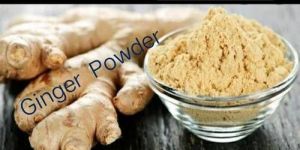 Fresh Ginger Powder