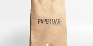 Paper Bags