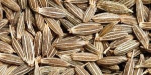 Cumin Seeds