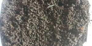 Vermicompost Fertilizer