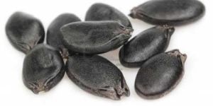 Ridge Gourd Seeds