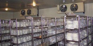 Frozen Meat Storage Room