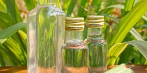 Citronella Hydrosol Water