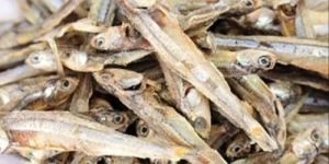 Dried Anchovy
