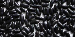 Black Kidney Beans