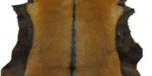 Goat Skins