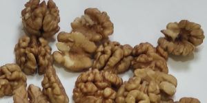 Walnut Kernels
