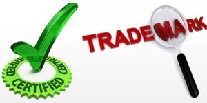 Trade Mark Consultation Services
