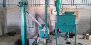 Cattle Feed Plant