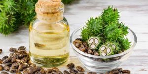 BROKER CASTOR OIL & ITS DERIVETIVES PRODUCTS , EDIBLE OIL & NON EDIBLE OIL BROKER