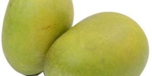 Fresh Langra Mango