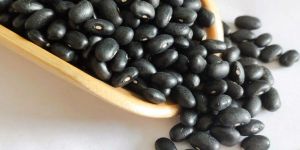 Black Beans