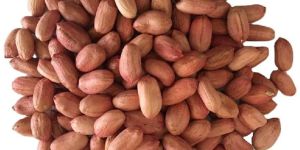 Groundnut Seeds