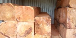 Teak Wood Logs