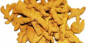 Dry Turmeric Finger