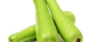 Organic Bottle Gourd