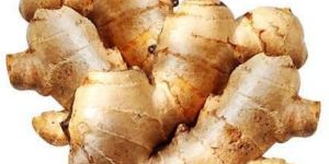 Organic Ginger