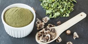 Moringa Pods Powder