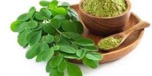 Dried Moringa Leaves Powder