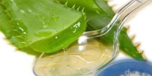 Aloe Vera Extract