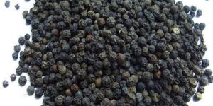 Black Pepper Seeds