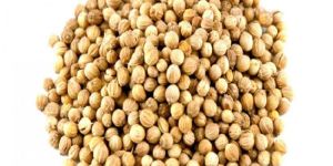 Coriander Seeds