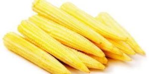 Frozen Baby Corn