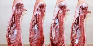 Pork Carcass