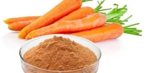 Dehydrated Carrot Powder