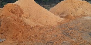 Sawdust Powder
