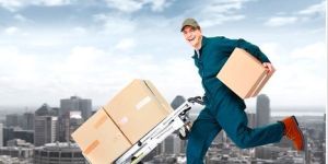 Custom Clearing Agent