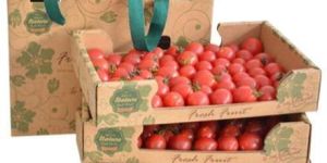 Vegetable Packaging Corrugated Box