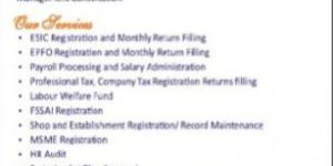 ESI EPF PAYROLL Consultant