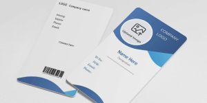 Plastic Identity Cards Printing Service