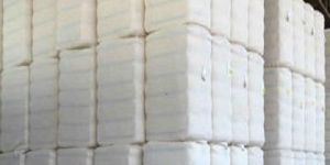 Raw Cotton Bales