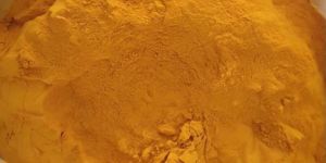 Organic Turmeric Powder