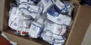 Cricket Batting Gloves