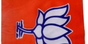 BJP Promotional Flag