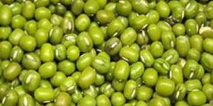 Green Moong