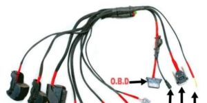 PJ Petrol 12 16 Wiring Harness