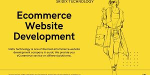 Ecommerce Web Design Services