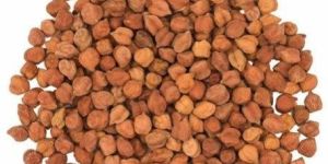 Black Chickpeas