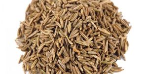 Caraway Seeds