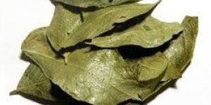 Dried Curry Leaves