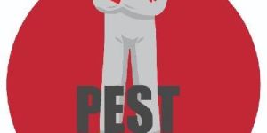 Pest Control Services