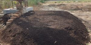 Vermicompost Fertilizer