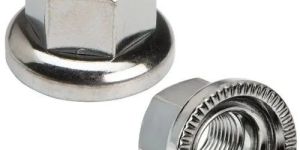 Hub Nuts