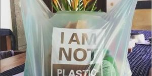 Corn Starch Compostable Carry Bags