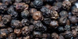 Idukki Pepper Seeds