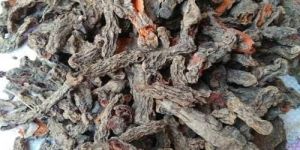 Mother Turmeric Panankali